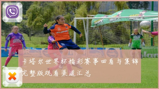 卡塔尔世界杯精彩赛事回看与集锦完整版观看渠道汇总