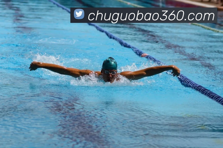 亚搏app登录入口平台生态图