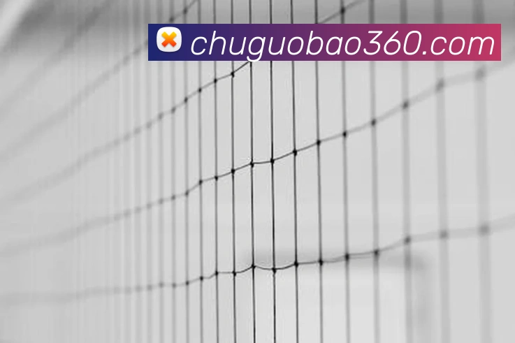 亚搏app登录入口全站App